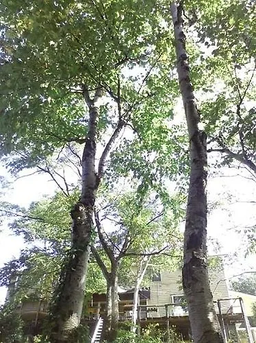 ホテル Niseko Negula